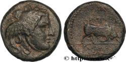 Ancient Coins - SYRIA - SELEUKID KINGDOM - SELEUKOS I NIKATOR Antioche, Syrie c. 282-281 AC. (19mm, 7,34g, 9h)
