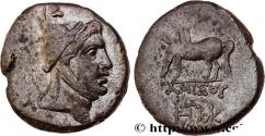 Ancient Coins - PONTUS - AMISOS Amisos, Pont c. 105-90 ou 90-85 AC. (24mm, 11,85g, 1h)