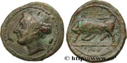 Ancient Coins - SICILY - SYRACUSE Syracuse, Sicile c. 317-310 AC. (17mm, 3,17g, 3h)