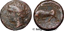 Ancient Coins - SICILY - SYRACUSE Syracuse, Sicile c. 275 - 269/265 AC. (19,5mm, 5,89g, 3h)