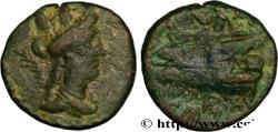 Ancient Coins - PHOENICIA - ARADOS Arados, Phénicie 130-129 AC. (17,5mm, 4,40g, 12h)