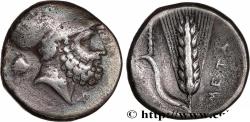 Ancient Coins - LUCANIA - METAPONTUM Métaponte c. 330 AC. (21,5mm, 7,62g, 5h)