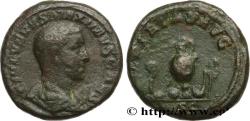 Ancient Coins - MAXIMUS CAESAR Rome automne 236 (25,5mm, 13,03g, 12h)