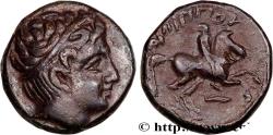 Ancient Coins - MACEDONIA - MACEDONIAN KINGDOM - PHILIP II Amphipolis, Macédoine c. 349-336 AC. (17mm, 5,34g, 3h)