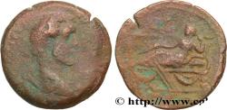 Ancient Coins - ANTONINUS PIUS Alexandrie, Égypte 138-139 (33mm, 20,78g, 1h)