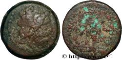 Ancient Coins - EGYPT - LAGID OR PTOLEMAIC KINGDOM - PTOLEMY III EUERGETES Alexandrie, Égypte1 c. 246-221 AC. (19mm, 5,82g, 12h)