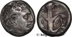 Ancient Coins - CYRENAICA - CYRENE Cyrène, Cyrénaïque c. 308-277 AC. (19mm, 7,57g, 6h)
