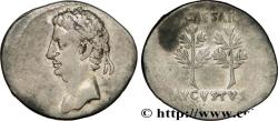 Ancient Coins - AUGUSTUS Caesaraugusta 19-18 AC. (20mm, 3,49g, 6h)