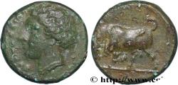 Ancient Coins - SICILY - SYRACUSE Syracuse, Sicile c. 275 - 269/265 AC. (15,5mm, 3,98g, 7h)