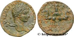 Ancient Coins - ELAGABALUS Leucas ad Chrysoroas, Cœlé-Syrie 218 (27mm, 13,58g, 1h)