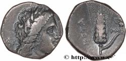Ancient Coins - LUCANIA - METAPONTUM Métaponte, Lucanie c. 300-290 AC. (20,5mm, 7,52g, 11h)