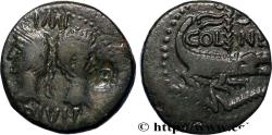 Ancient Coins - NEMAUSUS - NIMES - AUGUSTUS and AGRIPPA Nîmes c. 16/15 - 10 AC. (26,5mm, 12,02g, 3h)