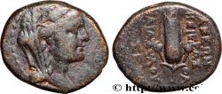 Ancient Coins - SYRIA - APAMEA Apamée, Syrie c. 74-69 AC. (16mm, 5,57g, 6h)