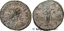 Ancient Coins - DIOCLETIAN Lyon 290-291 (22,5mm, 3,21g, 6h)