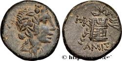 Ancient Coins - PONTUS - AMISOS Amisos, Pont c. 85-65 AC. (20,5mm, 8,53g, 12h)