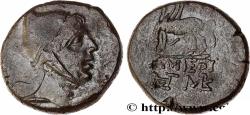 Ancient Coins - PONTUS - AMISOS Amisos, Pont c. 105-90 ou 90-85 AC. (22,5mm, 13,42g, 12h)
