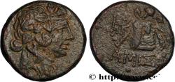 Ancient Coins - PONTUS - AMISOS Amisos, Pont c. 85-65 AC. (20,5mm, 8,10g, 12h)