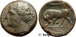 Ancient Coins - SICILY - SYRACUSE Syracuse, Sicile c. 275 - 269/265 AC. (19mm, 5,77g, 6h)
