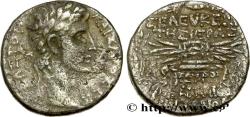 Ancient Coins - AUGUSTUS Séleucie, Syrie, Séleucie et Pierie 6-7 (24,5mm, 14,84g, 12h)