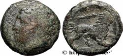 Ancient Coins - SICILY - SYRACUSE Syracuse, Sicile c. 295-289 AC. (20,5mm, 8,33g, 6h)