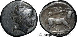Ancient Coins - CAMPANIA - NEAPOLIS Naples, Campanie c. 300-275 AC. (19,5mm, 6,99g, 11h)