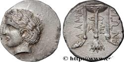 Ancient Coins - ILLYRO-PAEONIAN REGION - DAMASTIUM Damastion, Illyrie c. 350-340 (24,5mm, 12,71g, 12h)