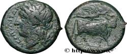 Ancient Coins - CAMPANIA - NEAPOLIS Naples, Campanie c. 275-250 AC. (19mm, 6,07g, 6h)