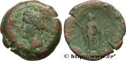 Ancient Coins - ANTONINUS PIUS Alexandrie, Égypte 144-145 (35mm, 31,09g, 12h)