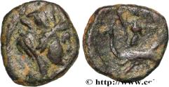 Ancient Coins - PALMYRA - PSEUDO-AUTONOMOUS ISSUE Palmyre c. 200-300 (9mm, 0,53g, 3h)