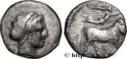 Ancient Coins - CAMPANIA - NEAPOLIS Naples, Campanie c. 300-275 AC. (18,5mm, 6,54g, 12h)