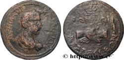 Ancient Coins - CLAUDIUS II GOTHICUS Sagalassos, Pisidie c. 268-270 AC. (33,5mm, 17,47g, 12h)