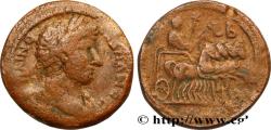 Ancient Coins - HADRIAN Alexandrie, Égypte 117-118 (3,mm, 14,72g, 12h)