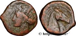 Ancient Coins - ZEUGITANA - CARTHAGE Carthage, Zeugitane c. 300-264 AC. (18,5mm, 3,94g, 12h)