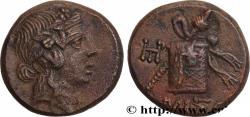 Ancient Coins - PONTUS - AMISOS Amisos, Pont c. 85-65 AC. (20,5mm, 8,83g, 12h)