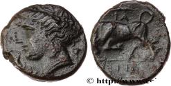 Ancient Coins - SICILY - SYRACUSE Syracuse, Sicile c. 275 - 269/265 AC. (19mm, 5,54g, 1h)