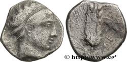 Ancient Coins - LUCANIA - METAPONTUM Lucanie, Métaponte c. 430-400 AC. (20,5mm, 7,72g, 3h)