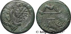 Ancient Coins - TAURIC CHERSONESE - PANTICAPEUM Panticapée, Chersonèse Taurique c. 340-325 AC. (21mm, 5,96g, 6h)