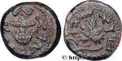 Ancient Coins - JUDAEA - FIRST REVOLT Jérusalem, Judée 67- 68 (16,5mm, 2,92g, 9h)