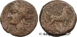 Ancient Coins - ZEUGITANA - CARTHAGE Carthage, Zeugitane c. 201-195 AC. (28mm, 18,76g, 12h)