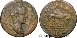 Ancient Coins - SEVERUS ALEXANDER  Alexandrie, Troade c. 222-235 (24mm, 7,24g, 7h)