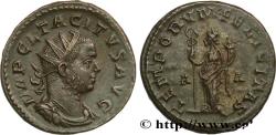 Ancient Coins - TACITUS Lyon 276 (22,5mm, 4,82g, 7h)