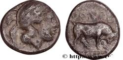 Ancient Coins - LUCANIA - THOURIOI Thurium, Lucanie c. 430-410 AC. (11mm, 1,13g, 3h)