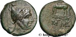 Ancient Coins - PONTUS - AMISOS Amisos, Pont c. 105-90 ou 90-85 AC. (21,5mm, 11,31g, 1h)