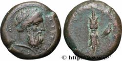 Ancient Coins - SICILY - SYRACUSE Syracuse,Sicile  343 - 339/338 AC. (25mm, 14,39g, 3h)