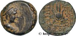 Ancient Coins - SYRIA - SELEUKID KINGDOM - ANTIOCHUS VII SIDETES Antioche, Syrie 138-127 AC. (17,5mm, 6,17g, 1h)