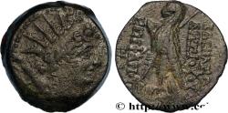 Ancient Coins - SYRIA - SELEUKID KINGDOM - ANTIOCHUS VIII GRYPUS Antioche, Syrie c. 121/120 - 111/110 AC. (19mm, 5,95g, 12h)
