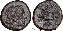 Ancient Coins - PONTUS - AMISOS Amisos, Pont c. 85-65 AC. (21mm, 8,43g, 12h)