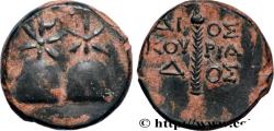 Ancient Coins - COLCHIS - DIOSKOUROS Dioscuras, Colchide c. 105-90 AC. (16,5mm, 4,76g, 1h)