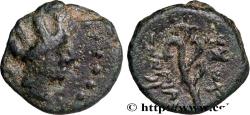 Ancient Coins - PHOENICIA - ARADOS Phénicie, Arados c. 174-173 AC. (12mm, 1,41g, 12h)