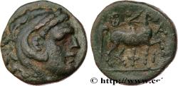 Ancient Coins - MACEDONIA - MACEDONIAN KINGDOM - PHILIPPOS V Pella ou Amphipolis, Macédoine c. 220-216 AC. (16,5mm, 4,04g, 1h)